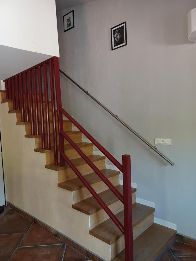 Les Meublés de Lassou Gîte Lombers Extérieur photo